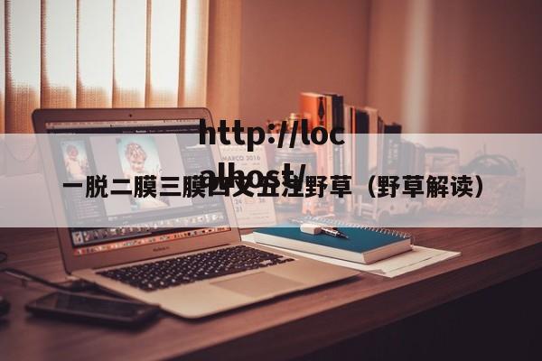 一脱二膜三膜四叉五注野草（野草解读）